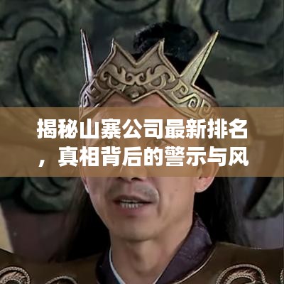 揭秘山寨公司最新排名，真相背后的警示与风险剖析