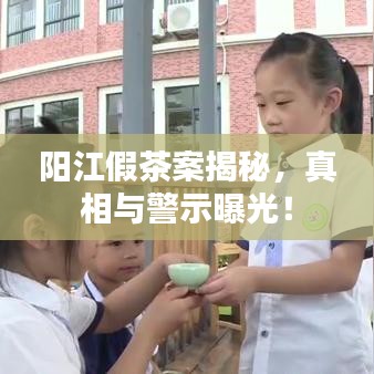 阳江假茶案揭秘，真相与警示曝光！