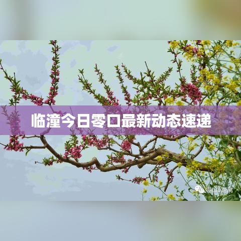 临潼今日零口最新动态速递