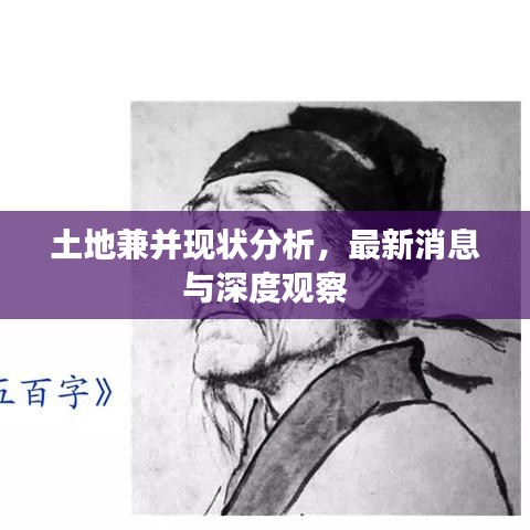 土地兼并现状分析，最新消息与深度观察