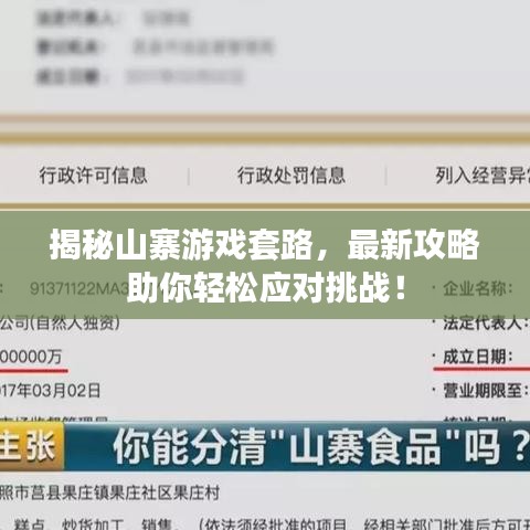揭秘山寨游戏套路，最新攻略助你轻松应对挑战！