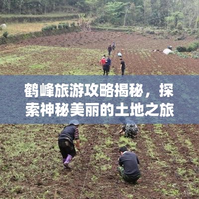 鹤峰旅游攻略揭秘，探索神秘美丽的土地之旅