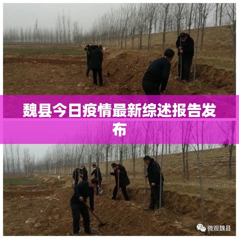 魏县今日疫情最新综述报告发布