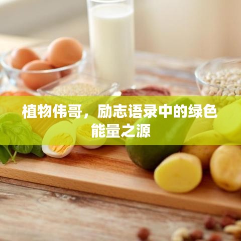 植物伟哥，励志语录中的绿色能量之源