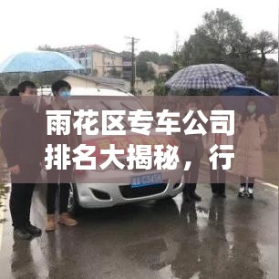 鸟之将死 第3页