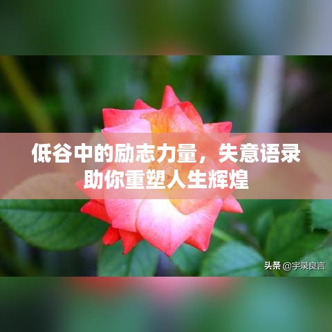 低谷中的励志力量，失意语录助你重塑人生辉煌