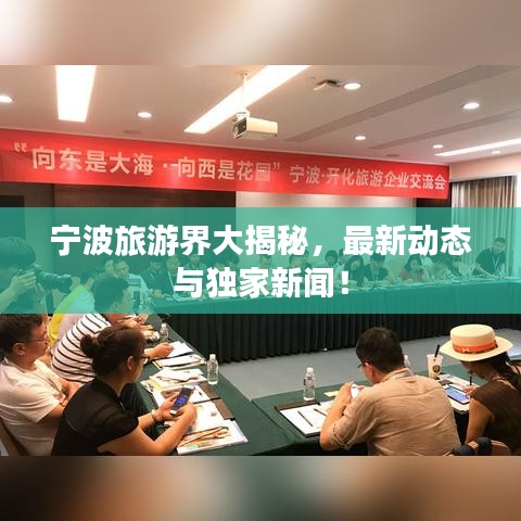 宁波旅游界大揭秘，最新动态与独家新闻！