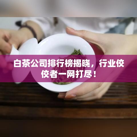 白茶公司排行榜揭晓，行业佼佼者一网打尽！