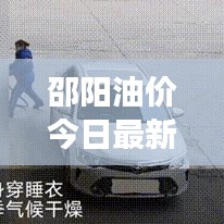 邵阳油价今日最新动态，全面解析深度洞察报告出炉！