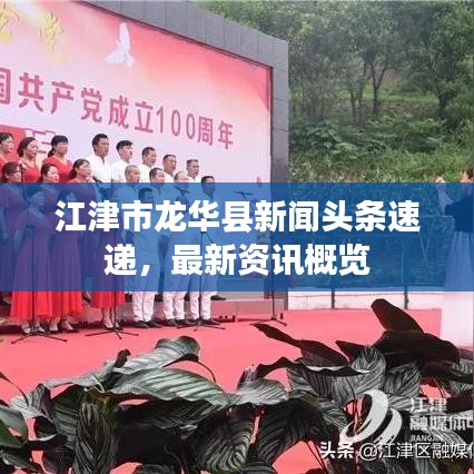 江津市龙华县新闻头条速递，最新资讯概览