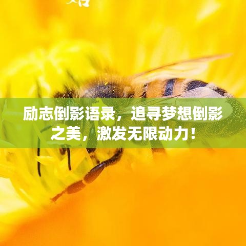 励志倒影语录，追寻梦想倒影之美，激发无限动力！