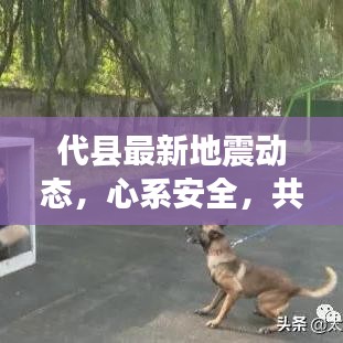 代县最新地震动态，心系安全，共守家园安全
