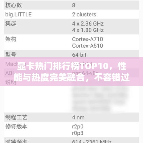 显卡热门排行榜TOP10，性能与热度完美融合，不容错过！