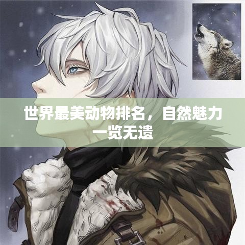 世界最美动物排名，自然魅力一览无遗