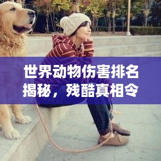 世界动物伤害排名揭秘，残酷真相令人震惊