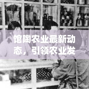 馆陶农业最新动态，引领农业发展，新闻头条抢先看