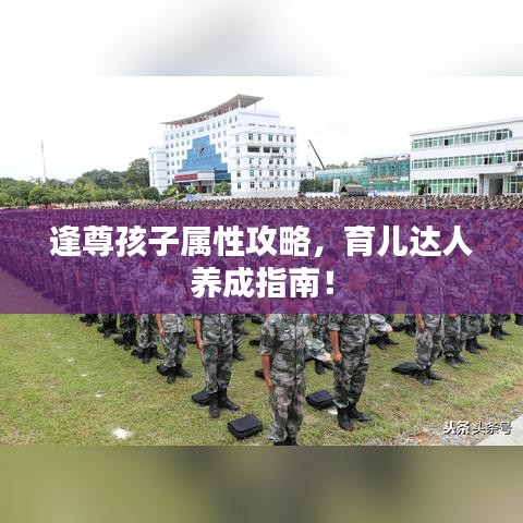 逢尊孩子属性攻略，育儿达人养成指南！