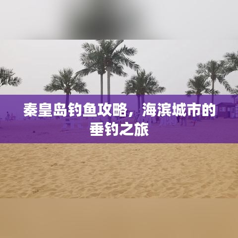 秦皇岛钓鱼攻略，海滨城市的垂钓之旅