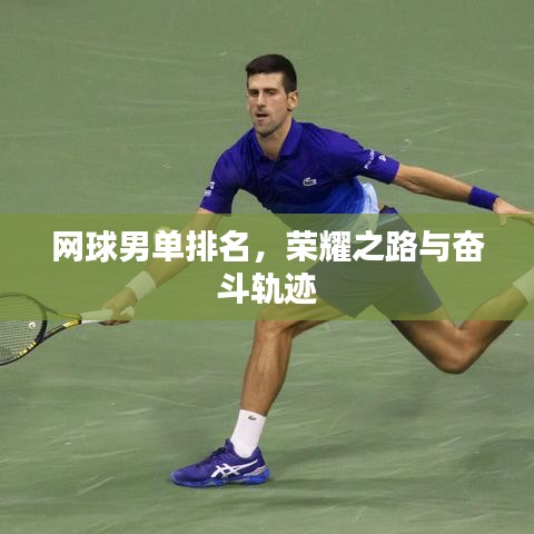网球男单排名，荣耀之路与奋斗轨迹