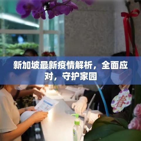 新加坡最新疫情解析，全面应对，守护家园