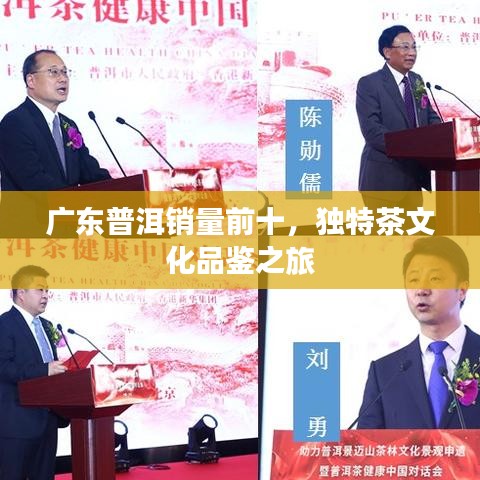 广东普洱销量前十，独特茶文化品鉴之旅