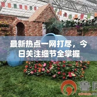 最新热点一网打尽，今日关注细节全掌握