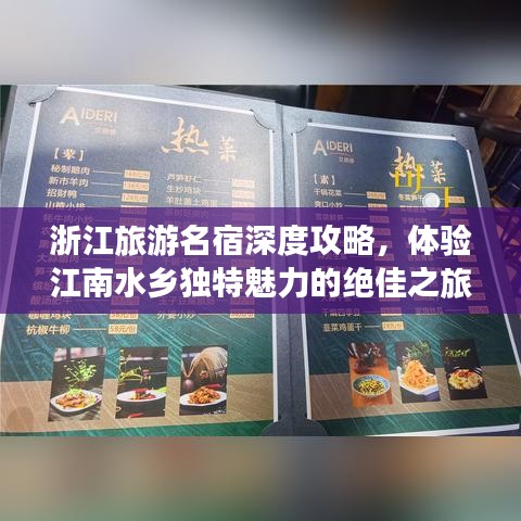 浙江旅游名宿深度攻略，体验江南水乡独特魅力的绝佳之旅