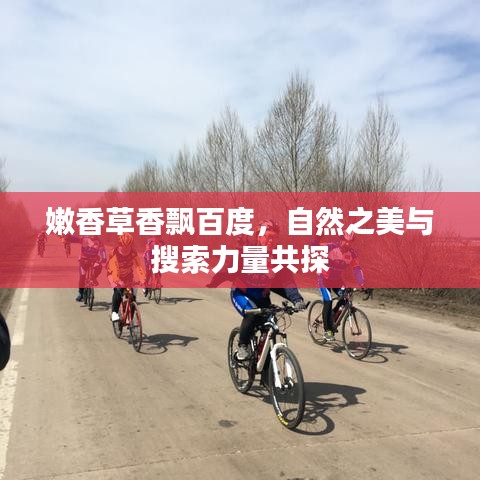 嫩香草香飘百度，自然之美与搜索力量共探