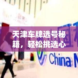 天津车牌选号秘籍，轻松挑选心仪车牌号码攻略！