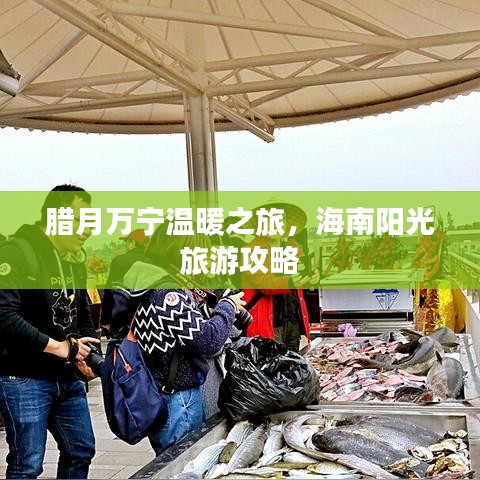 腊月万宁温暖之旅，海南阳光旅游攻略