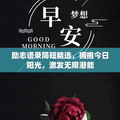 励志语录简短精选，拥抱今日阳光，激发无限潜能