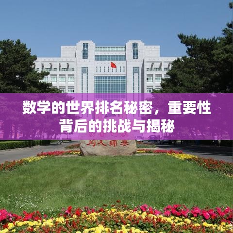 数学的世界排名秘密，重要性背后的挑战与揭秘