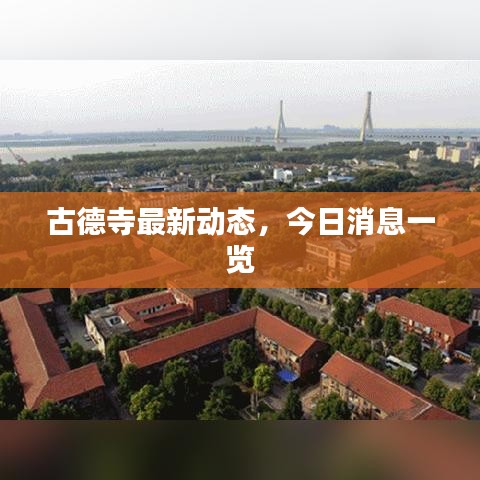 古德寺最新动态，今日消息一览