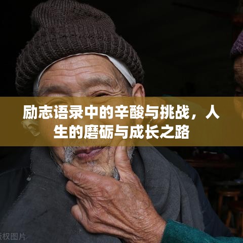 励志语录中的辛酸与挑战，人生的磨砺与成长之路
