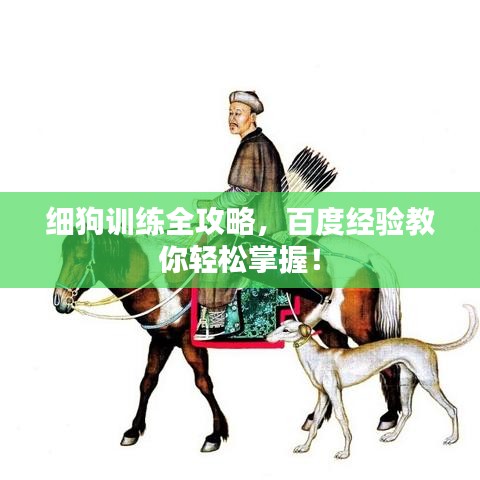 细狗训练全攻略，百度经验教你轻松掌握！