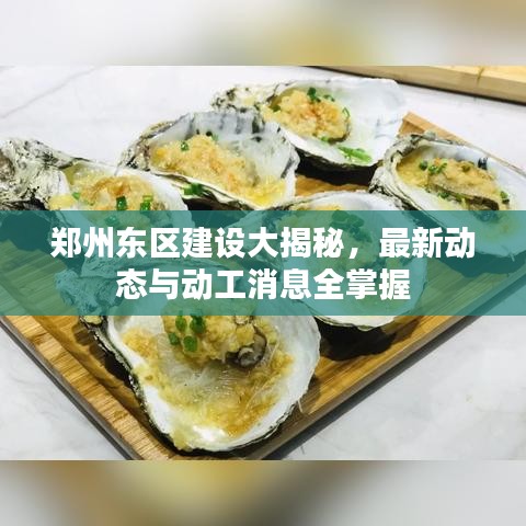 郑州东区建设大揭秘，最新动态与动工消息全掌握