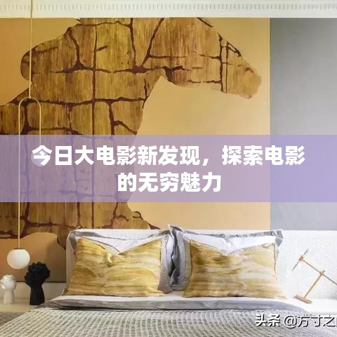 今日大电影新发现，探索电影的无穷魅力