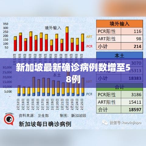 新加坡最新确诊病例数增至58例