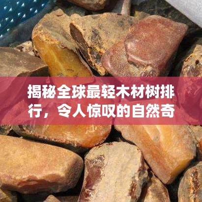 雪中送炭 第2页
