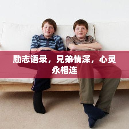 励志语录，兄弟情深，心灵永相连
