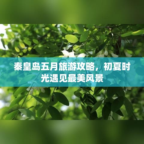 秦皇岛五月旅游攻略，初夏时光遇见最美风景