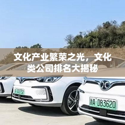 文化产业繁荣之光，文化类公司排名大揭秘