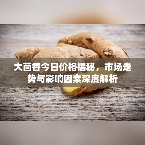 大茴香今日价格揭秘，市场走势与影响因素深度解析