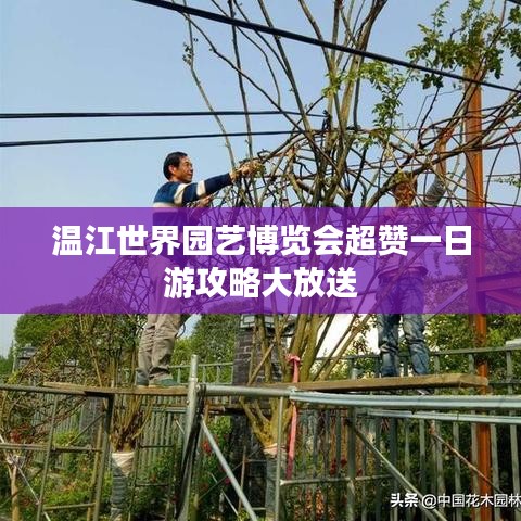 温江世界园艺博览会超赞一日游攻略大放送