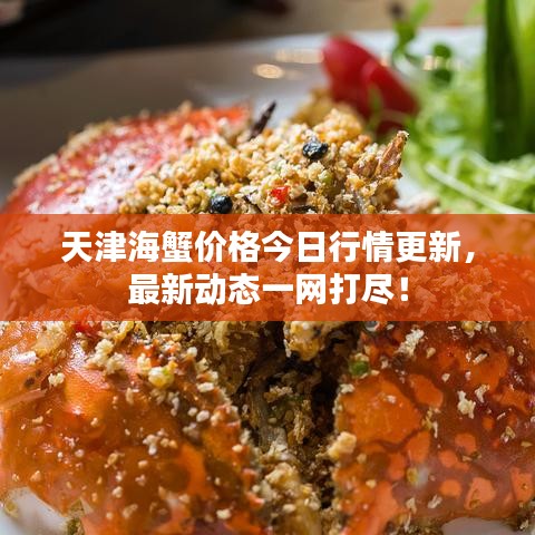 天津海蟹价格今日行情更新，最新动态一网打尽！