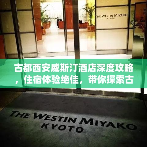 古都西安威斯汀酒店深度攻略，住宿体验绝佳，带你探索古都魅力