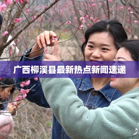 广西柳溪县最新热点新闻速递