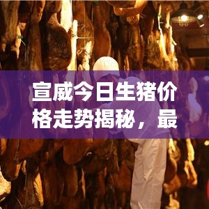 宣威今日生猪价格走势揭秘，最新动态、市场分析、精准预测