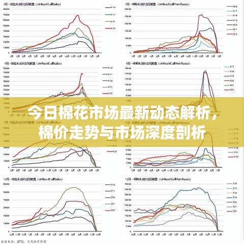 德才兼备 第2页