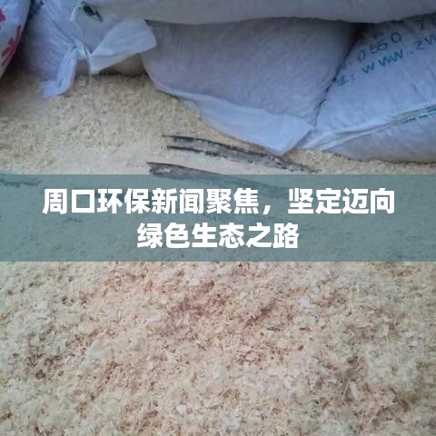 周口环保新闻聚焦，坚定迈向绿色生态之路